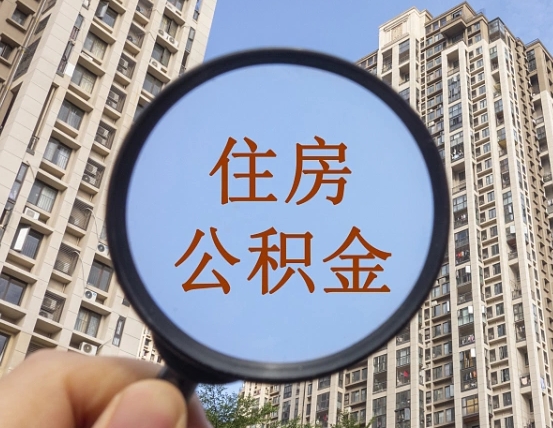 桂平退休后查不到公积金明细了吗（退休后公积金查询不到原因）
